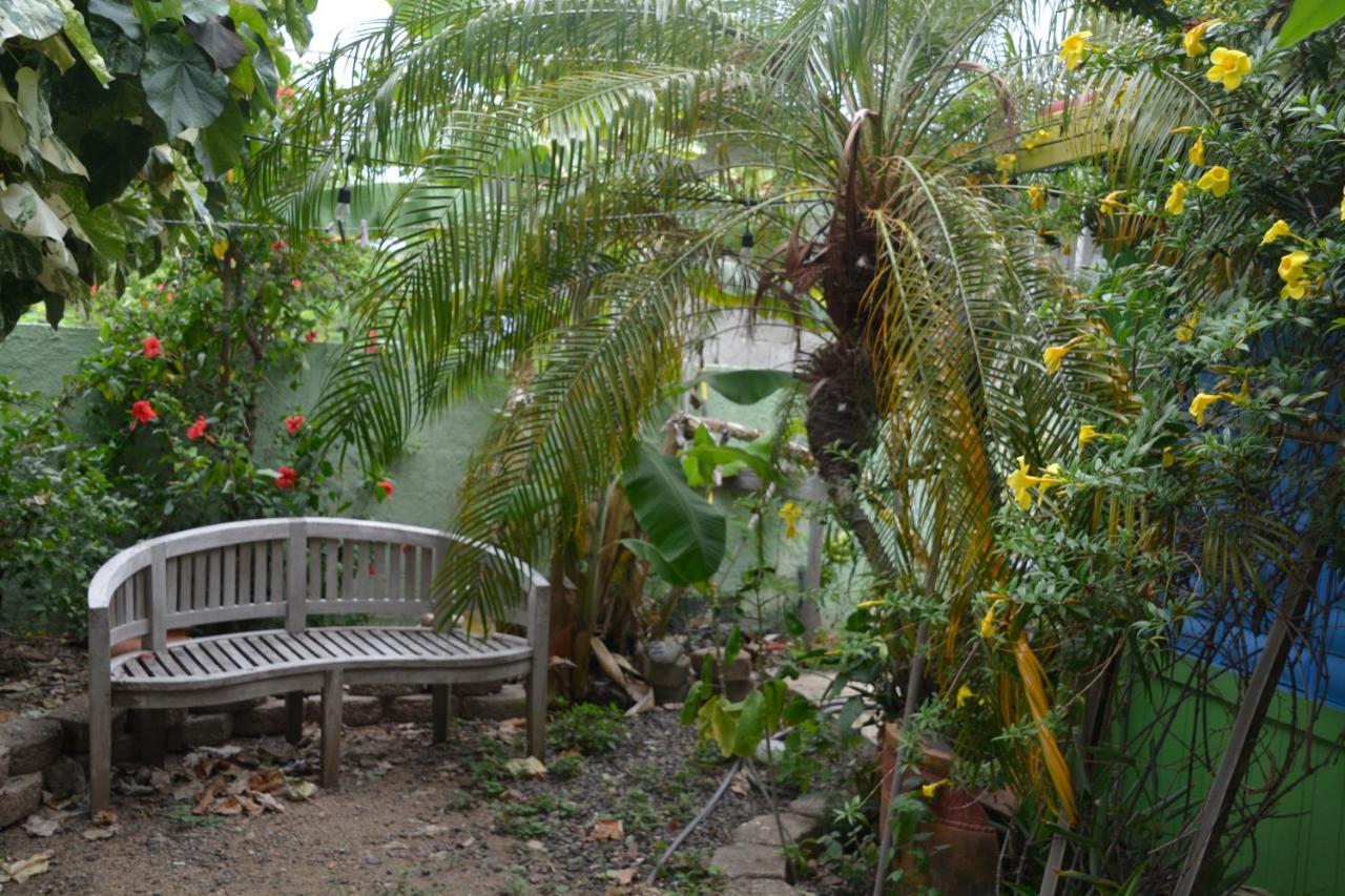Palmetto Guesthouse Isla Culebra Exteriör bild